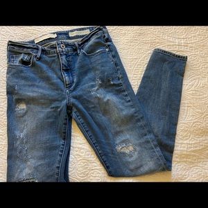Anthropologie Pilcro Distressed Skinny Jean